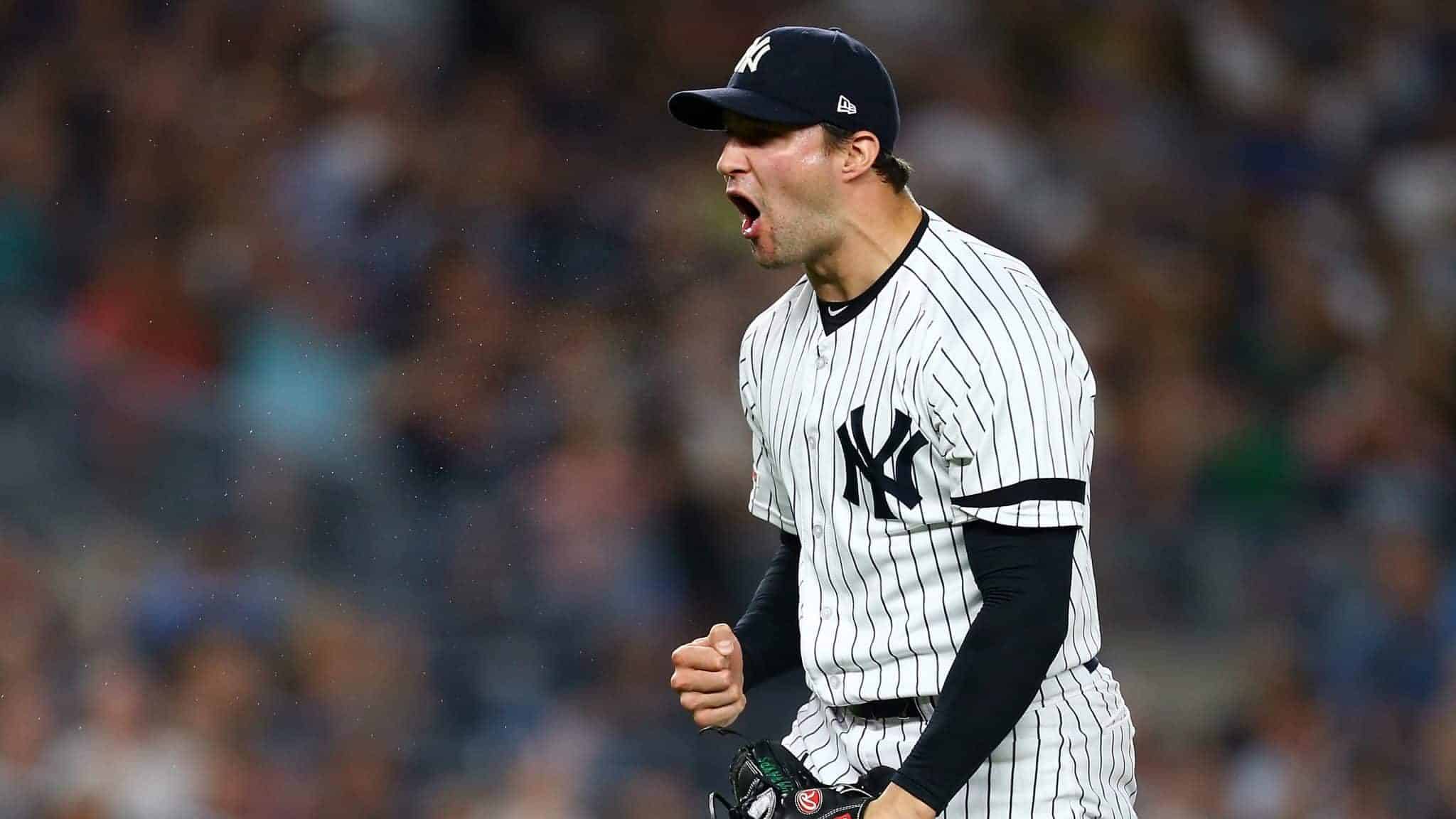 NEW YORK, NEW YORK - AUGUST 16: Tommy Kahnle #48 of the New York Yankees reacts after striking out Franmil Reyes #32 of the Cleveland Indians to end the top of the seventh inning at Yankee Stadium on August 16, 2019 in New York City.
