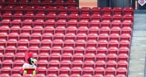 ST LOUIS, MO - JULY 26: St. Louis Cardinals mascot Fredbird tries to find a seat during a game between the St. Louis Cardinals and the Pittsburgh Pirates at Busch Stadium on July 26, 2020 in St Louis, Missouri.