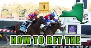 how to bet preakness ny