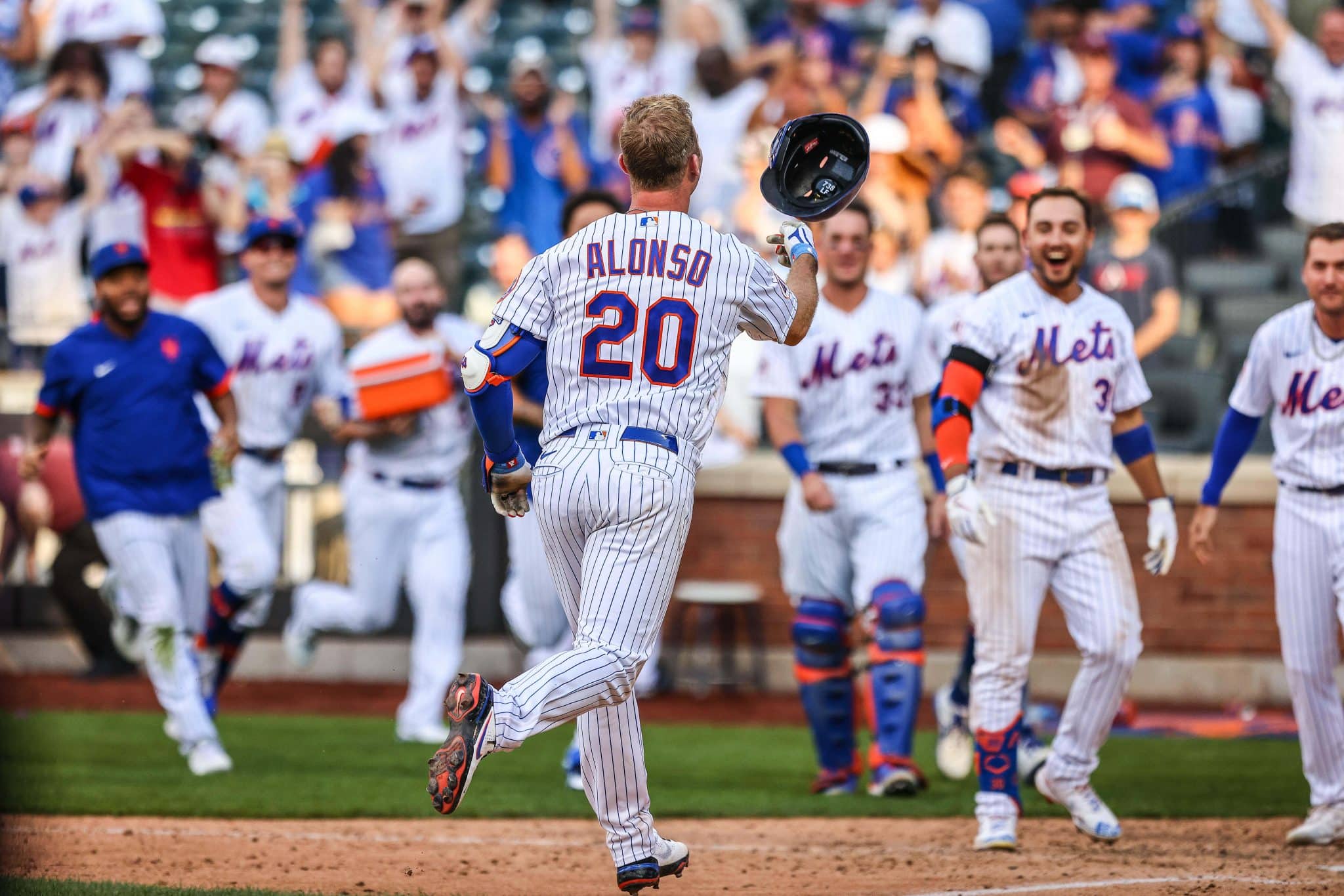 Pete Alonso mets